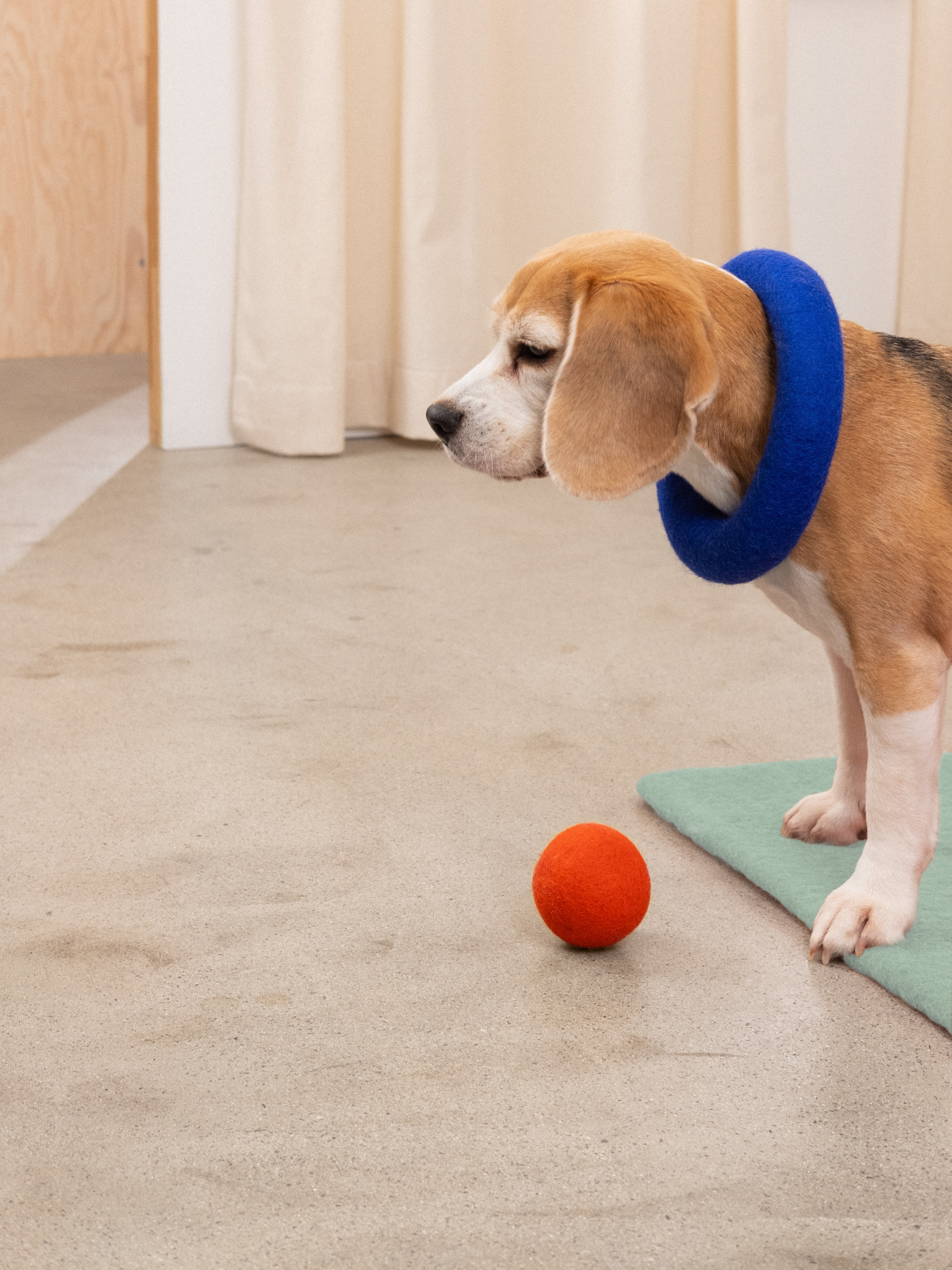 Hundespielzeug Ball Set - myfelt